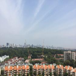 D'Leedon (D10), Condominium #43549952
